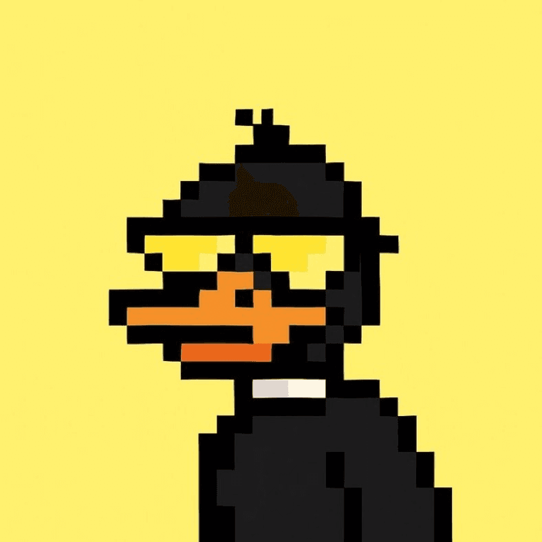 Decent Ducks Solana NFT art collection founded by Kyle Kinkin (@DucksOnX).